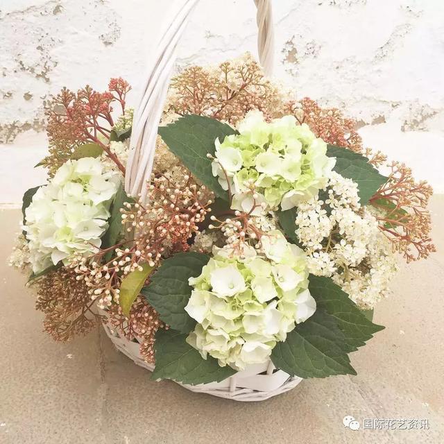 你认识石楠花吗，史上最污最邪恶的花