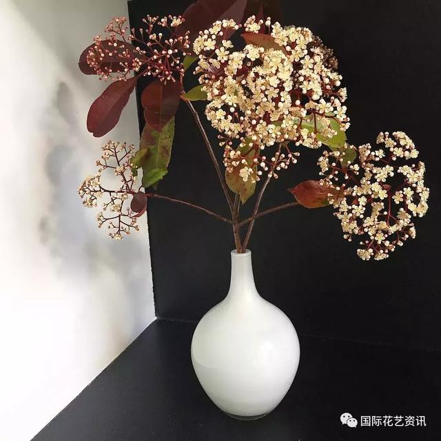 你认识石楠花吗，史上最污最邪恶的花