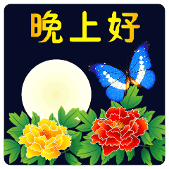 晚上好语句表情：祝今晚好梦