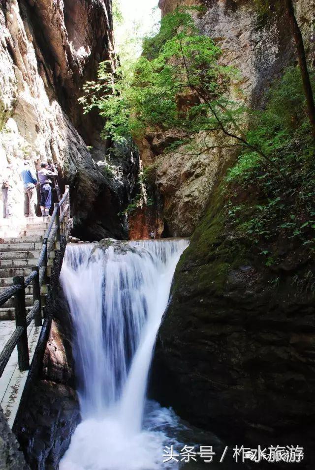 柞水县旅游必去的景点，柞水这几个景点踏青正好