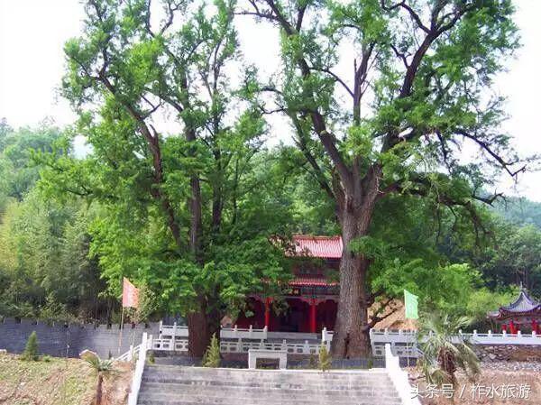 柞水县旅游必去的景点，柞水这几个景点踏青正好