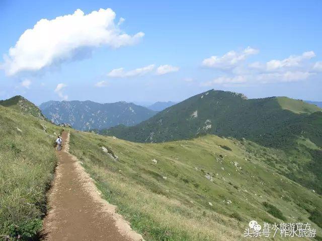 柞水县旅游必去的景点，柞水这几个景点踏青正好