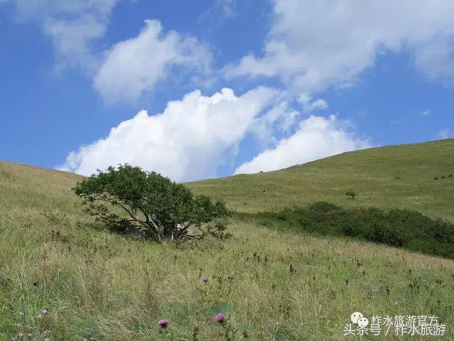 柞水县旅游必去的景点，柞水这几个景点踏青正好