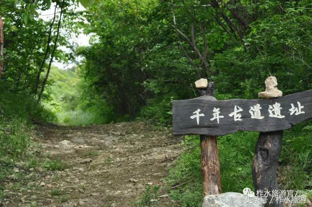 柞水县旅游必去的景点，柞水这几个景点踏青正好