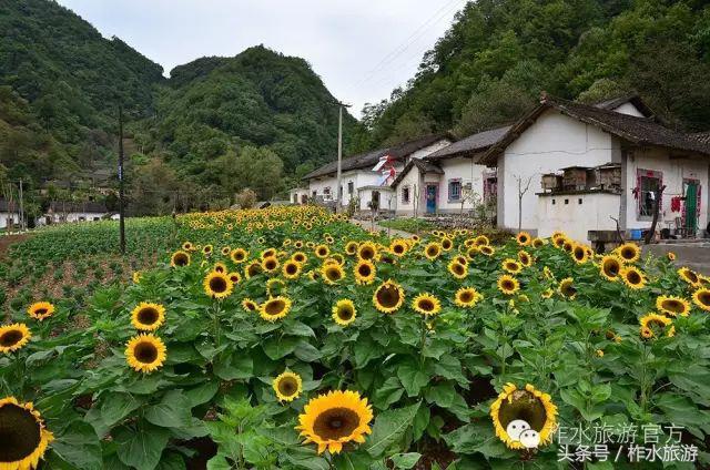 柞水县旅游必去的景点，柞水这几个景点踏青正好