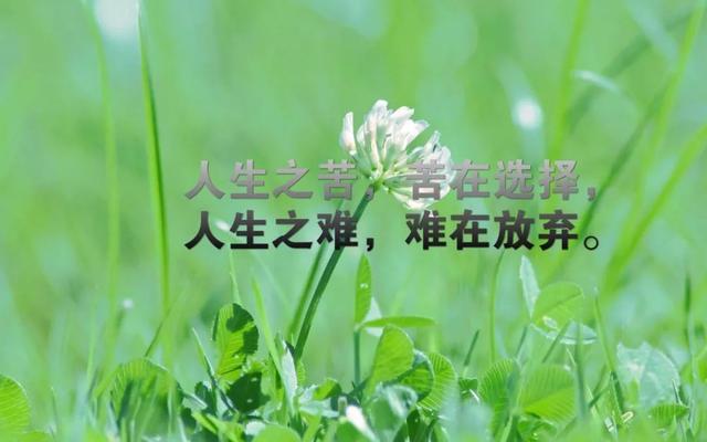早安心语奋进句子190319：只要努力不止，进步也会不止