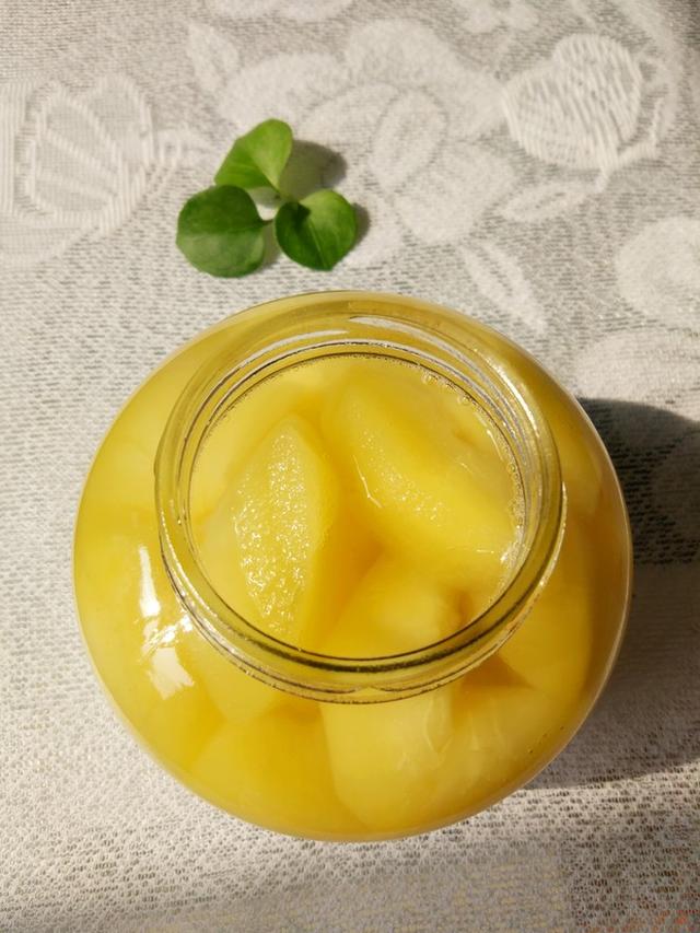 苹果罐头最简单做法，酸酸甜甜超好吃