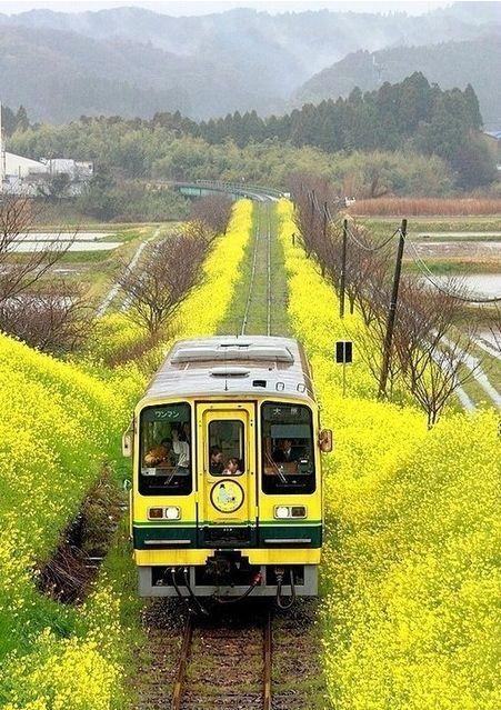 早安短语180407：爱不必说抱歉，有几分埋怨就有几分自愿