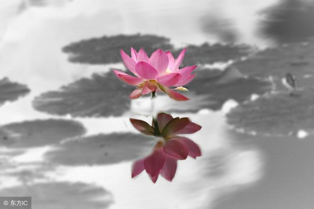 如何测字的十种方法，古今测字术20分钟学会测字