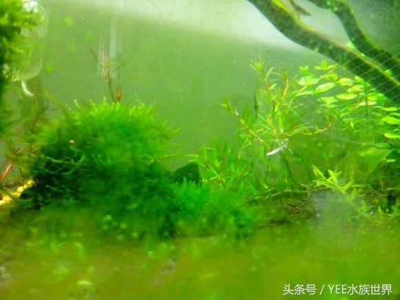 翻缸，翻缸注意事项和禁忌