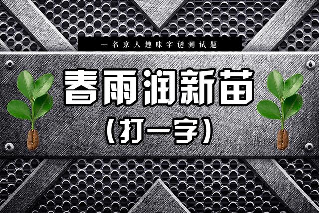 春雨润新苗打一字，农村最难的十个字谜