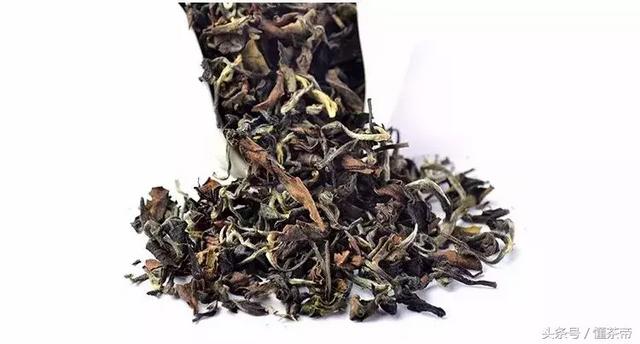 十大顶级冰岛茶排名，这款意为吹牛的茶