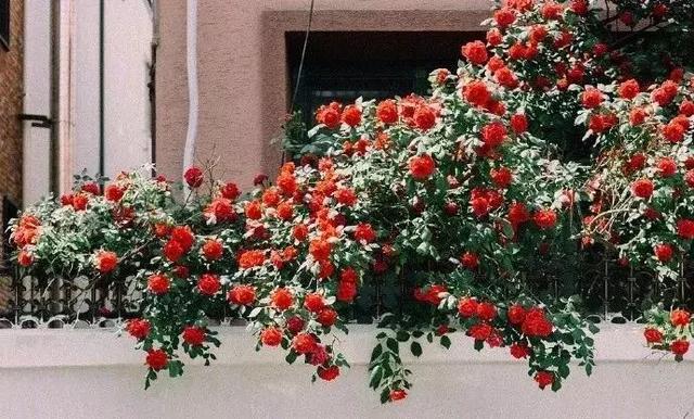 静最高境界的诗句，7首小诗：人生的最高境界