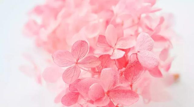 静最高境界的诗句，7首小诗：人生的最高境界