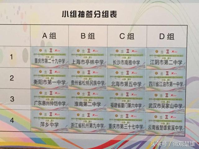 楚雄市紫溪中学是公立学校吗，楚雄紫溪中学女团