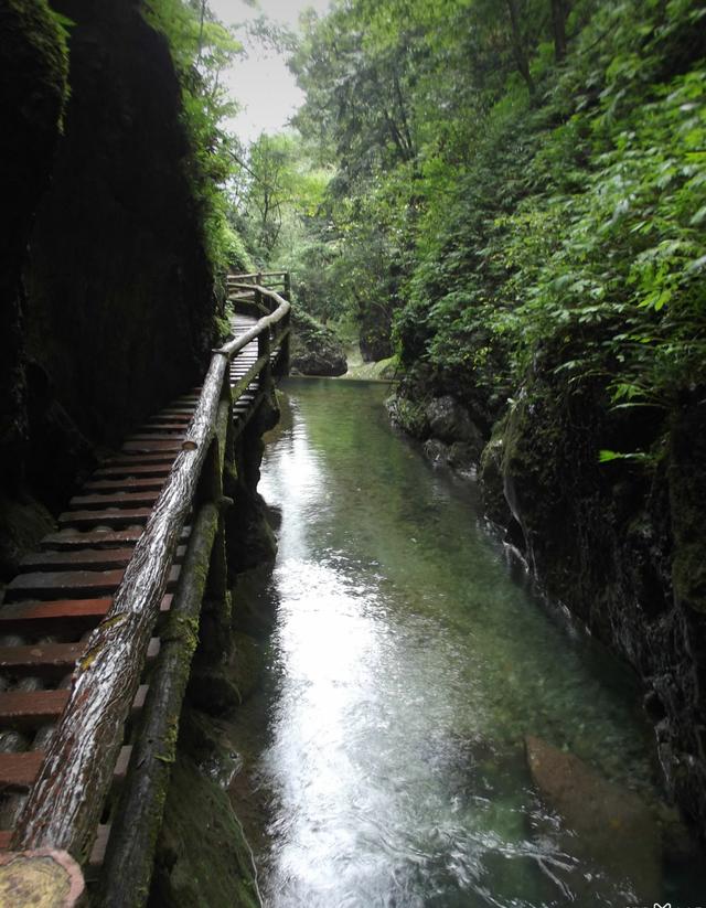 成都到青城山最佳方案，大交通、行程路线、省心玩法