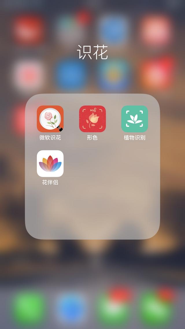 干枝假花教程简单，给你一把识花神器