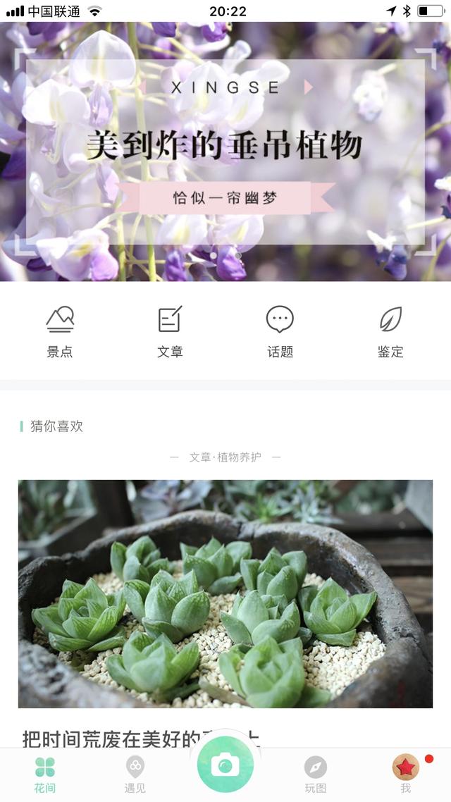 干枝假花教程简单，给你一把识花神器