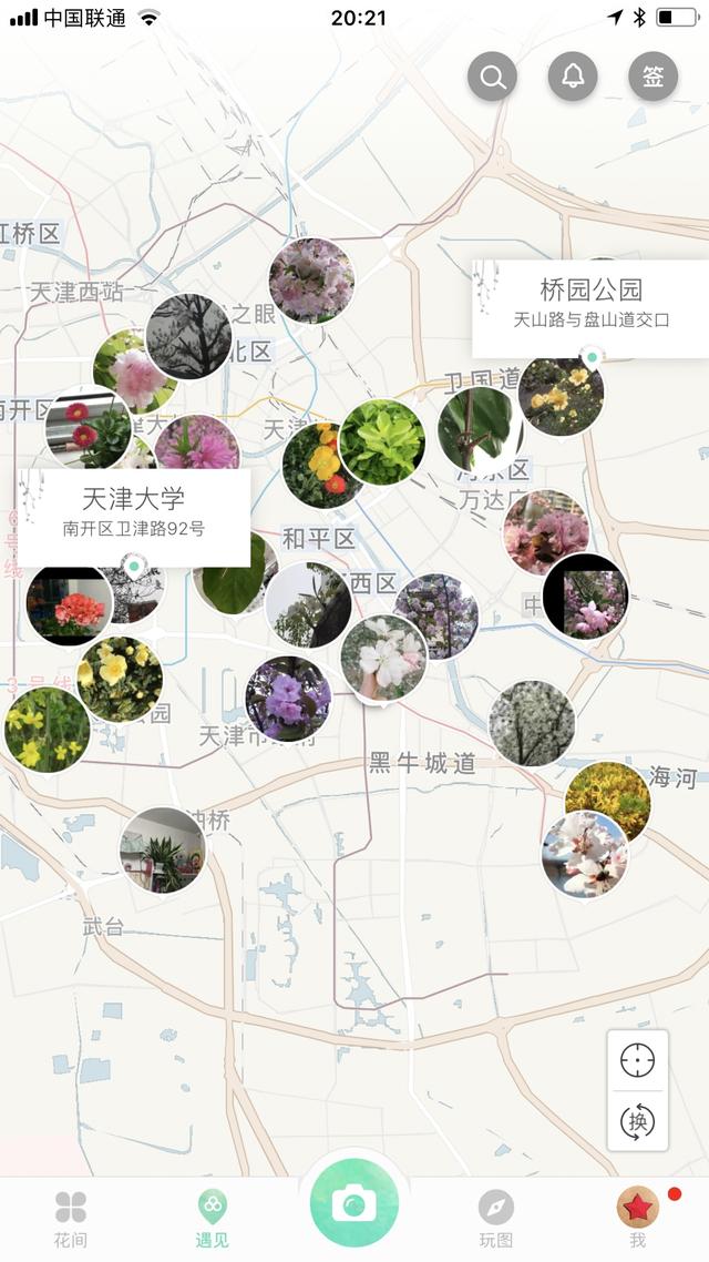 干枝假花教程简单，给你一把识花神器