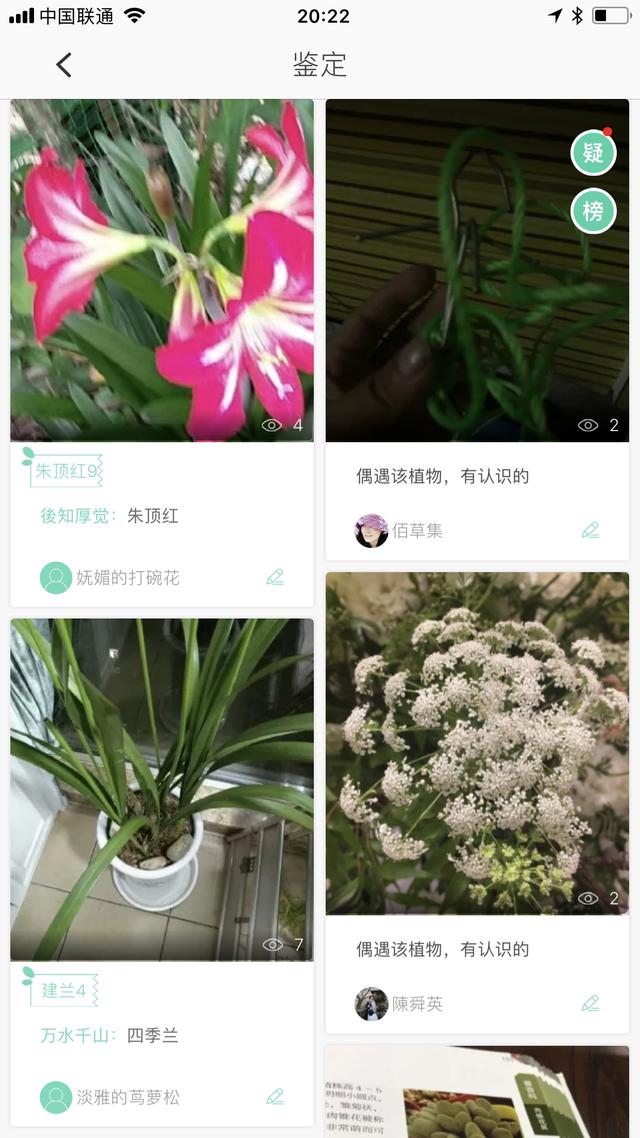 干枝假花教程简单，给你一把识花神器