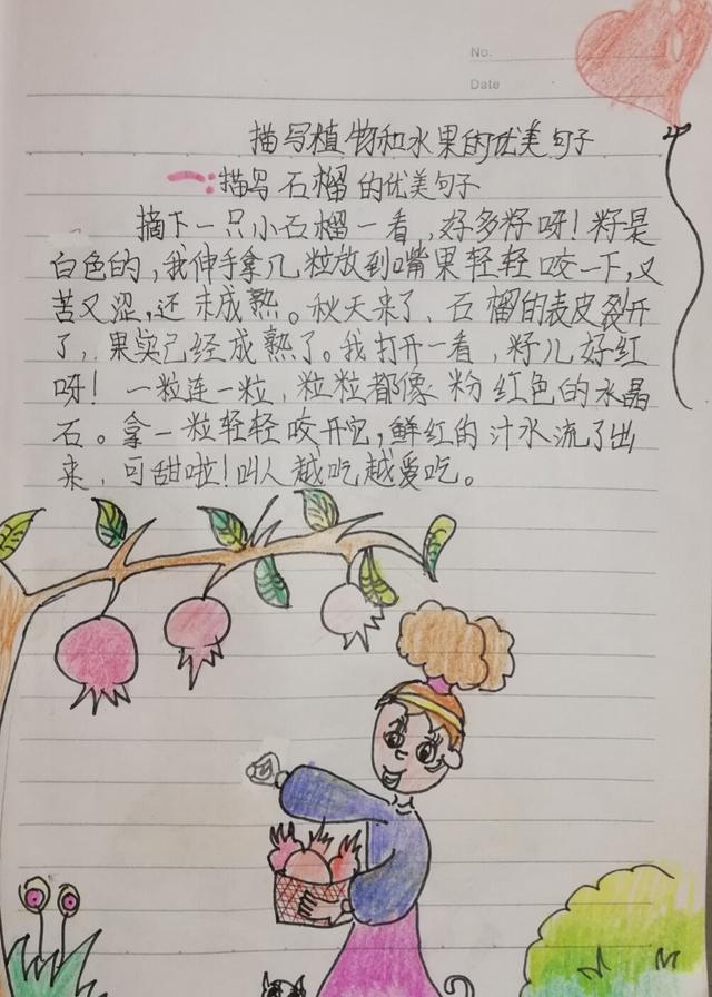 读书笔记怎么画，小学生的读书笔记怎么画