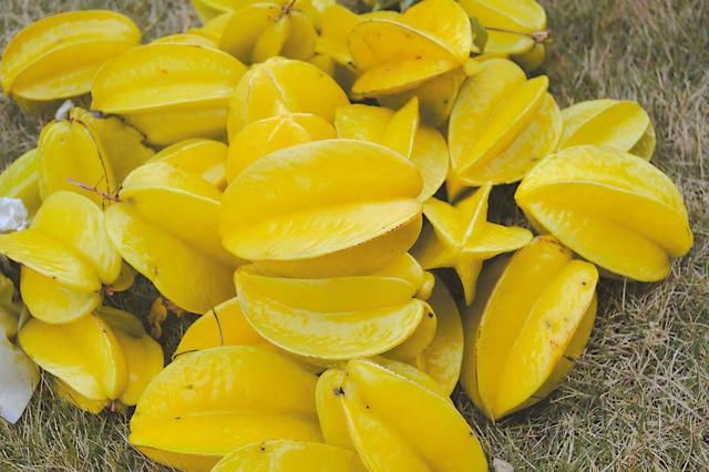 润肺止咳的水果，强力止咳润肺的水果（润肺止咳必吃九种水果）