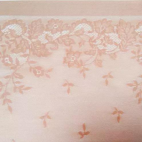 b cup，月光下的演奏曲