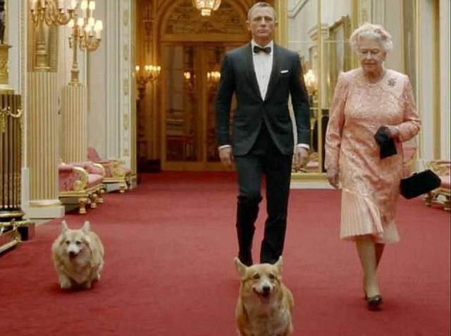 英国女王的柯基，英国女王的最后一只柯基去世（英国女王为什么养柯基狗）