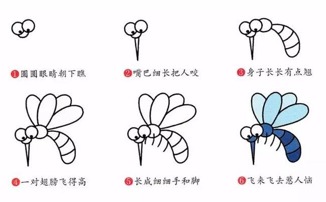 如何画又简单又好看的昆虫，看看认识几种昆虫