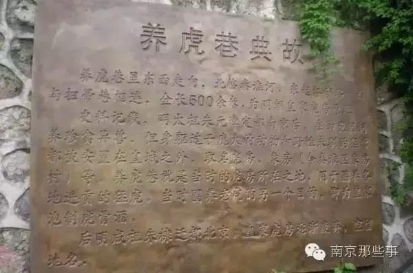 老南京的习俗，南京年俗，这里全了……