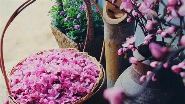 大林寺桃花白居易，白居易的大林寺桃花全诗