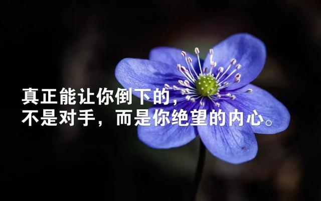 早上好阳光问候语：心有阳光，把生活过成诗