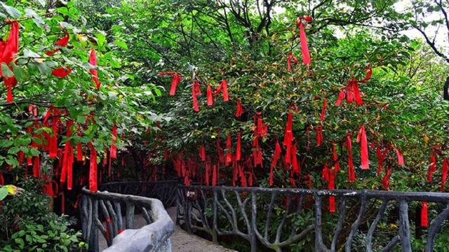 天门山旅游攻略，湖南张家界天门山游玩攻略（天门山攻略）