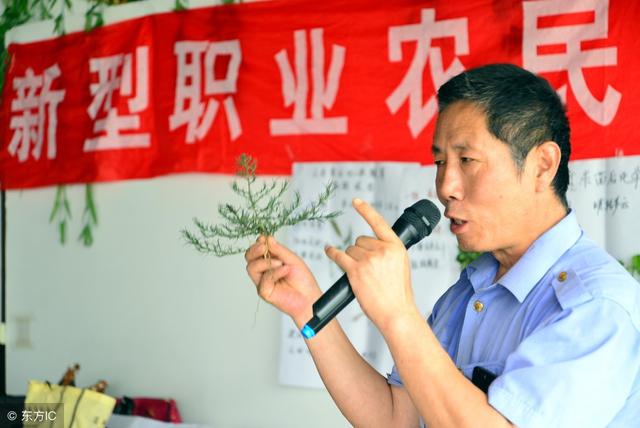 新型职业农民的三个要求，职业农民制度说来就来