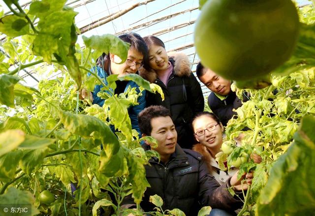 新型职业农民的三个要求，职业农民制度说来就来