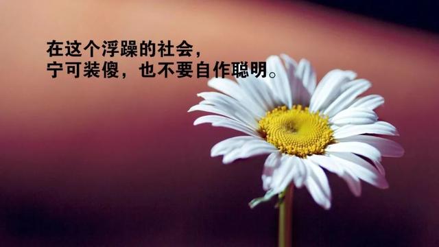 早安心语正能量180609：没啥，拼的就是坚强！
