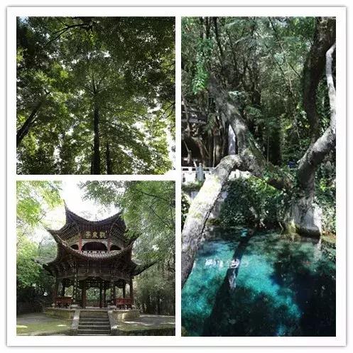 大理古城到洱海有多遠，大理環(huán)洱海自駕要多久（大理環(huán)洱海游應該這樣玩）