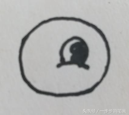 小鸭怎样画才好看，山雀、喜鹊、小鸡、鸭子的画法