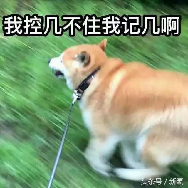 郭碧婷的头发如何保养，郭碧婷用几千块黑头铲都弄不干净的黑头
