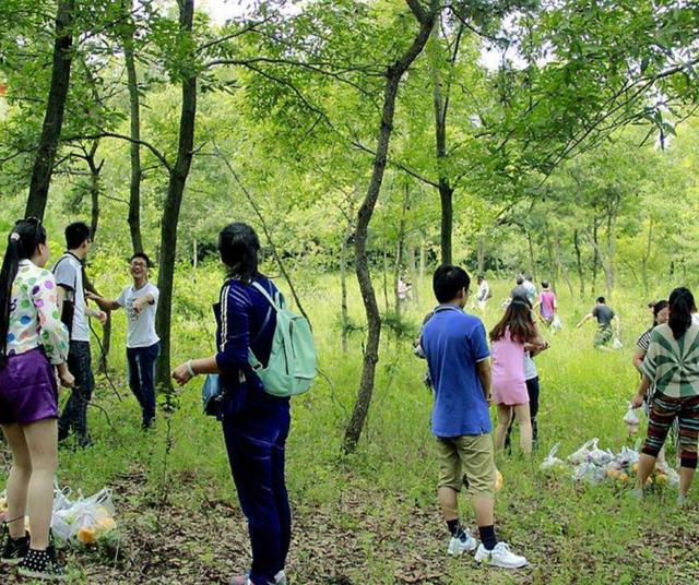 良凤江国家森林公园，南宁良凤江门票（趣森林亲子探险游园会邀你来探险啦）