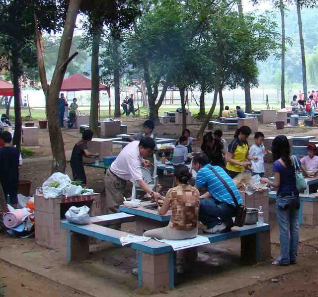 良凤江国家森林公园，南宁良凤江门票（趣森林亲子探险游园会邀你来探险啦）