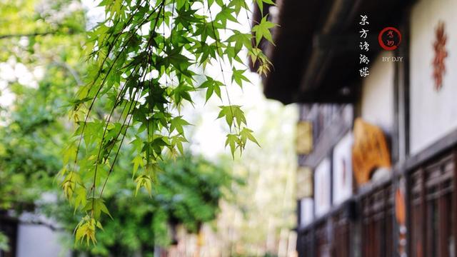 南京东方盐湖城游玩攻略，游玩常州东方盐湖城