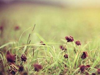 什么样的女人克夫，哪种女人会克夫（其实有“克夫之相”）