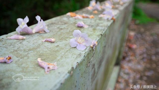 江西佛教名寺在哪里，江西大余有个正觉寺