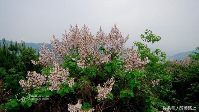 江西佛教名寺在哪里，江西大余有个正觉寺