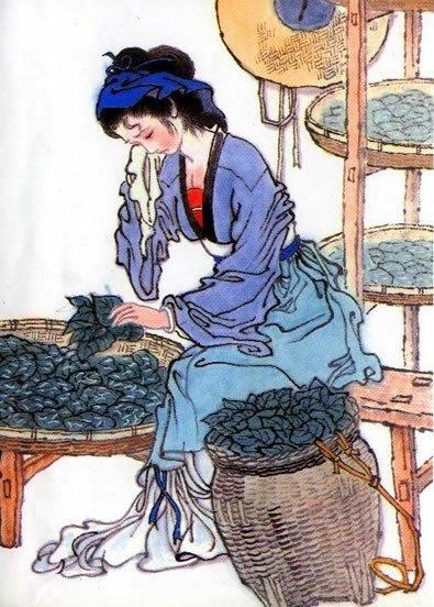 关于赞美劳动的古诗，关于爱劳动的诗句古诗