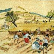 关于赞美劳动的古诗，关于爱劳动的诗句古诗