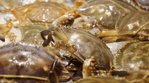 泉州万达好吃餐厅排名，这几家店在泉州万达