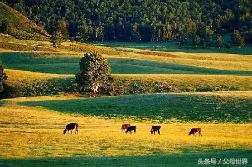 十八罗汉山森林公园，周末值得去打卡的森林公园（十八罗汉山森林公园）