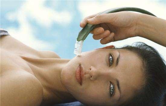 芦荟能吃吗有毒吗，芦荟有毒请慎食